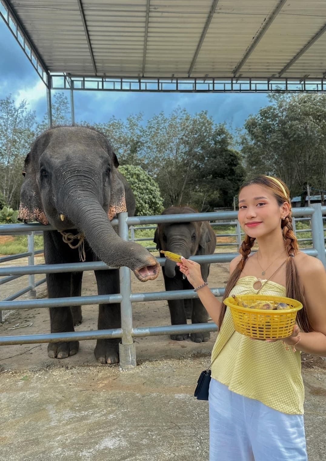 Visiting Thai Elephants in Phuket